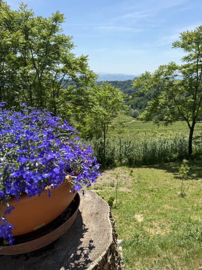 appartement Barbera 