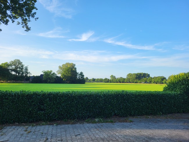 Dalerheugte Drenthe 