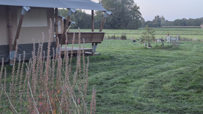 Dalerheugte Drenthe 