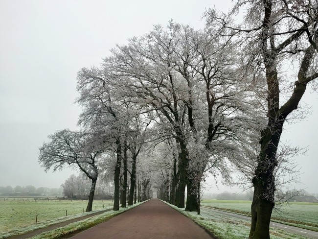 Dalerheugte Drenthe 