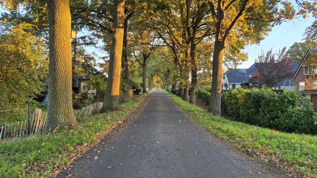 Dalerheugte Drenthe 