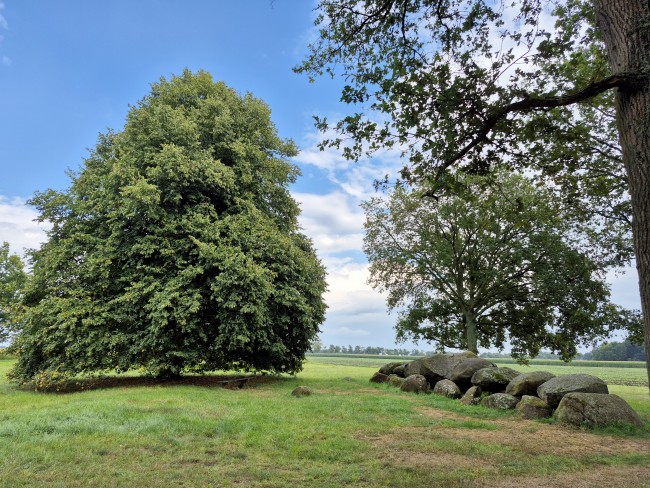Dalerheugte Drenthe 