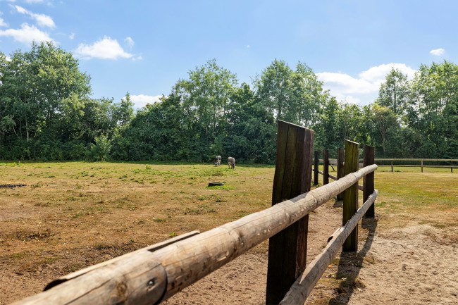 De Steenhoeve 