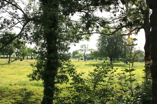 Bed en breakfast Reijmerstok 