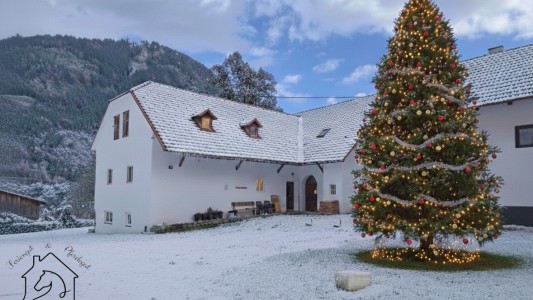 Feriengut und Pferdegut Schloss Treffen 