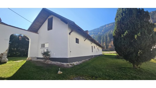 Feriengut und Pferdegut Schloss Treffen 