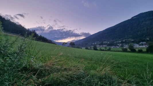 Feriengut und Pferdegut Schloss Treffen 