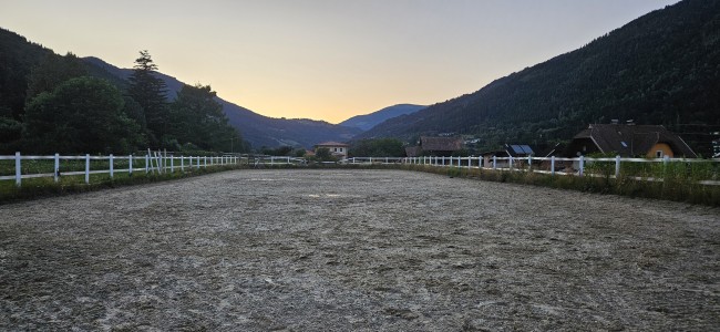 Feriengut und Pferdegut Schloss Treffen 