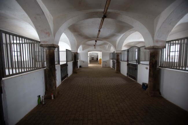 Feriengut und Pferdegut Schloss Treffen 