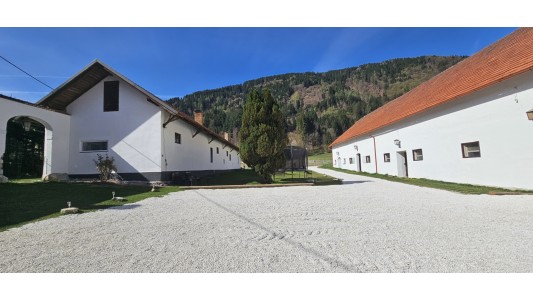 Feriengut und Pferdegut Schloss Treffen 