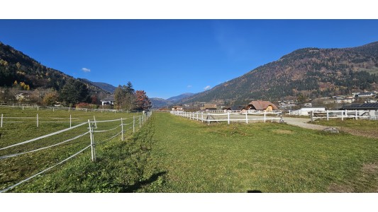 Feriengut und Pferdegut Schloss Treffen 