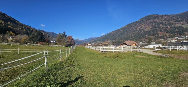 Feriengut und Pferdegut Schloss Treffen 