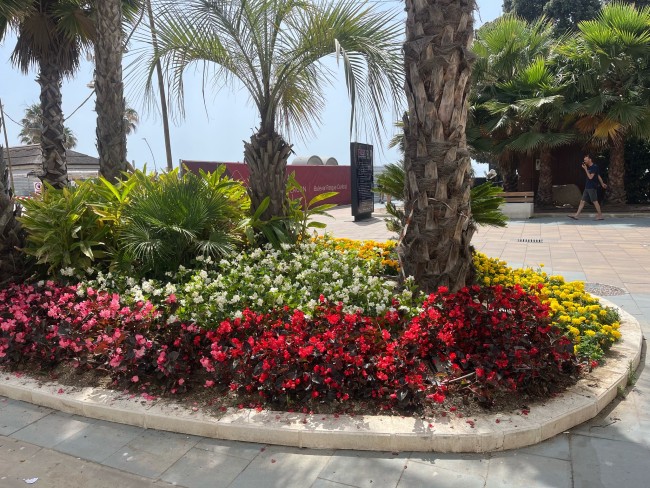 Vakantieappartement Estepona 