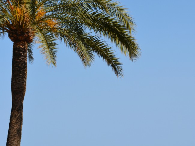 Vakantieappartement Estepona 