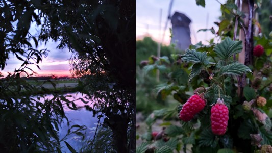 Voedselbos camping Koperwiek