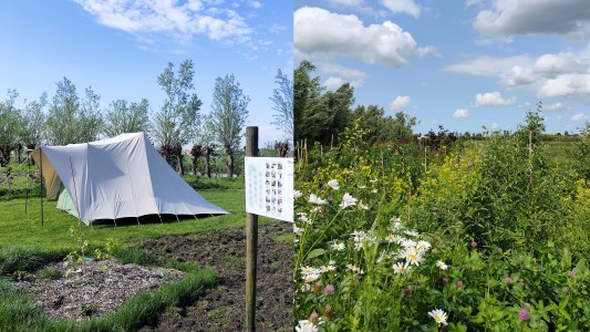 Voedselbos camping Koperwiek