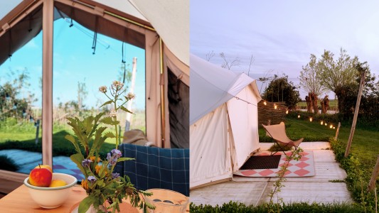 Voedselbos camping Koperwiek