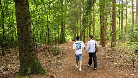 Drenthe