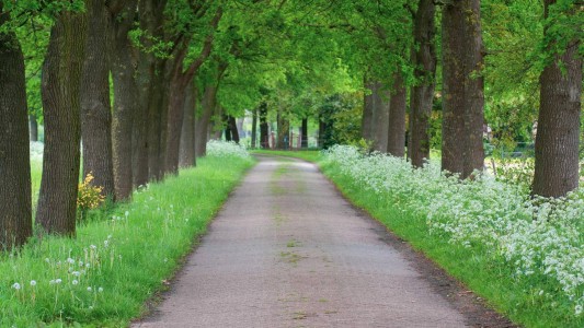 Drenthe