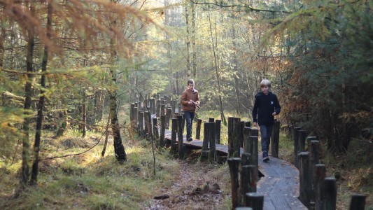 Drenthe
