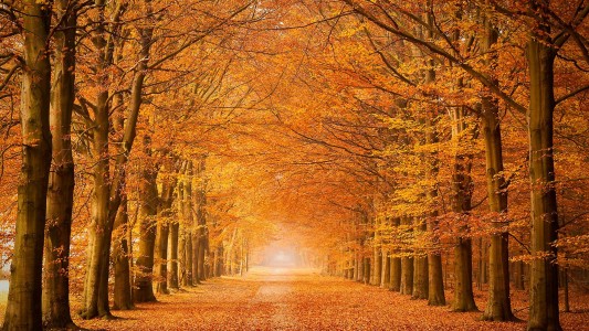 Drenthe