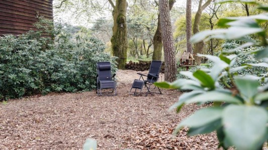 Bed and Breakfast Wicherumloo 