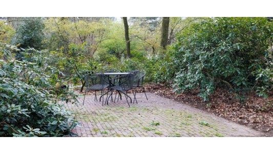 Bed and Breakfast Wicherumloo 