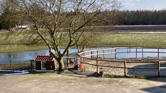 Het Paarse Paard