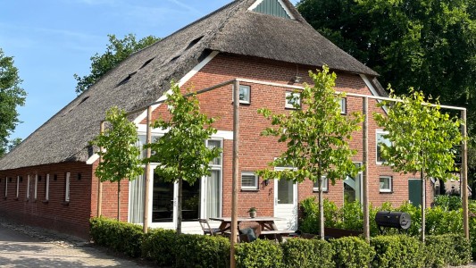 Het Paarse Paard