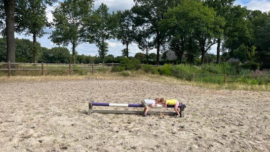 Het Paarse Paard