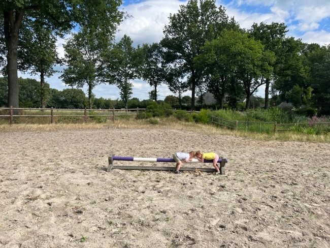 Het Paarse Paard 
