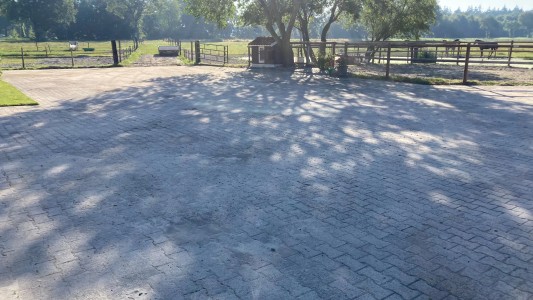 Het Paarse Paard