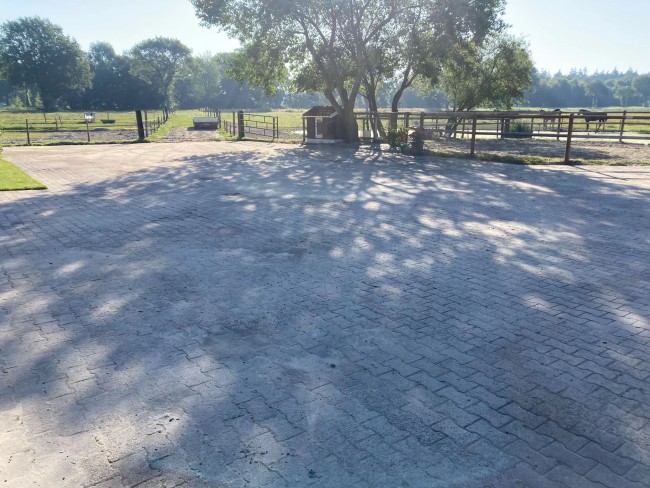 Het Paarse Paard 