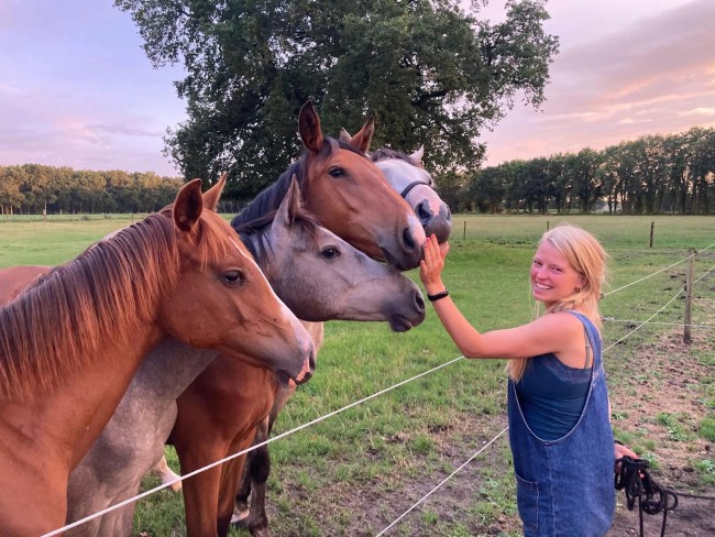 Het Paarse Paard 