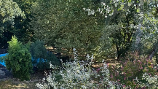 L'Amirauté sur Baïse