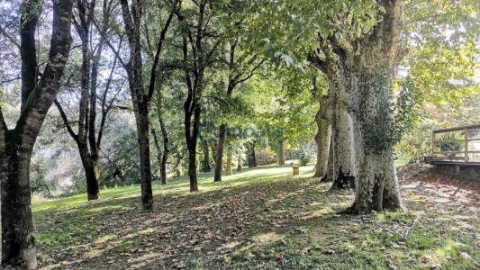 L'Amirauté sur Baïse