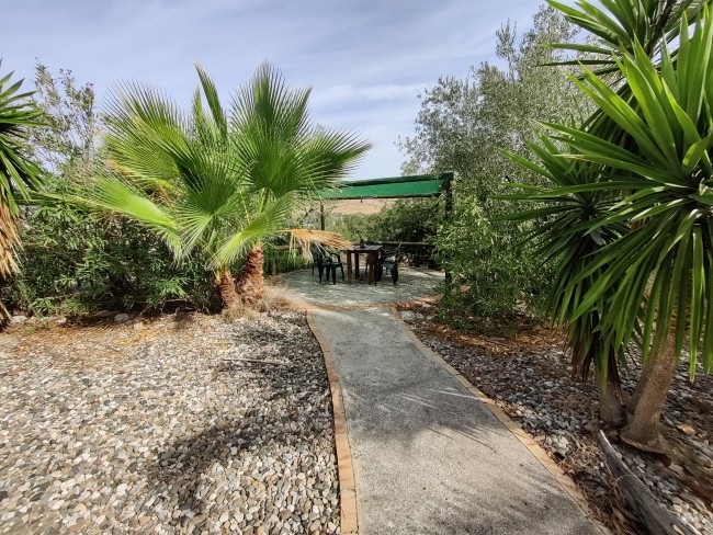 Finca La Libertad 