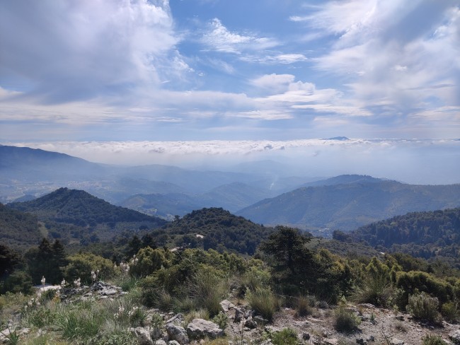 Finca La Libertad 