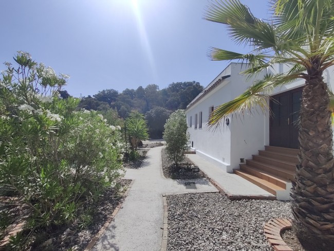 Finca La Libertad 