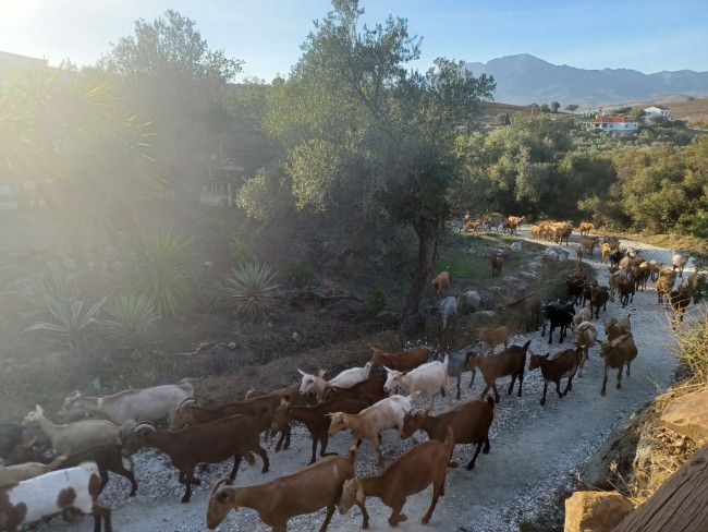 Finca La Libertad 