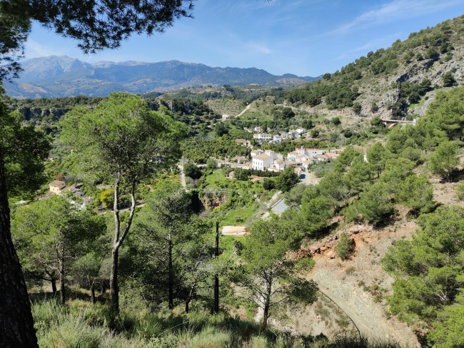Finca La Libertad 