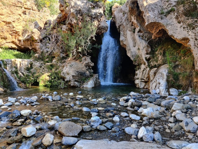 Finca La Libertad 