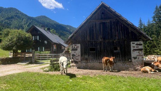 Haus Holunder Weissbriach 