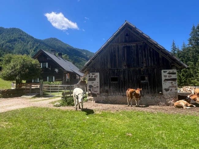 Haus Holunder Weissbriach 