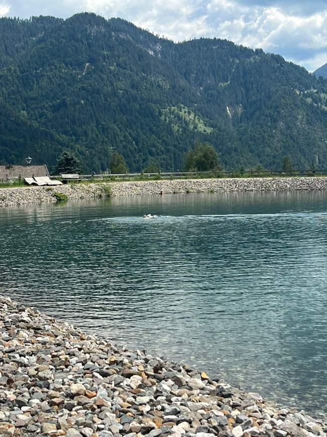 Haus Holunder Weissbriach 