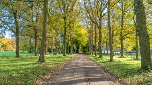 Zwaluwenburg 8 