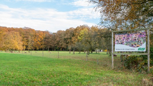 Zwaluwenburg 8 