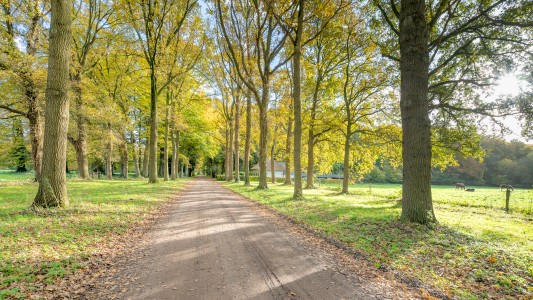 Zwaluwenburg 8 