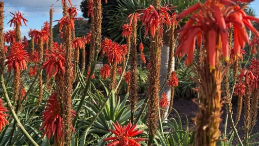 Funchal Bay 