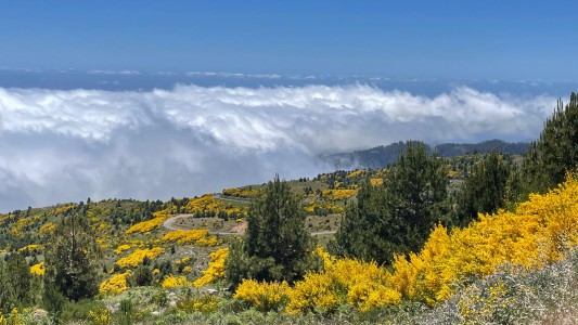 Funchal Bay 